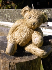 Abingdon VA Teddy Bear