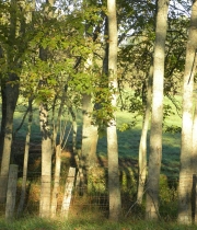 abingdon-va-scenic-01