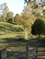 abingdon-va-scenic-02