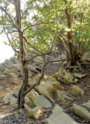 abingdon-va-scenic-03