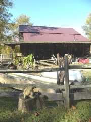 Abingdon VA Structure