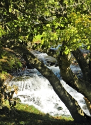 Abingdon VA Mini-Falls