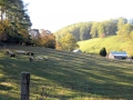 Abingdon VA Barn