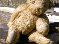 Abingdon VA Teddy Bear