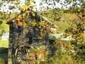 Abingdon VA Mill