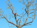 Abingdon VA Scenic