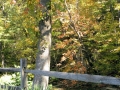 Abingdon VA Scenic
