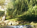 Abingdon VA Creek