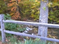 Abingdon VA Creek