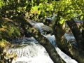 Abingdon VA Mini-Falls