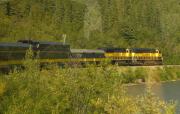 Alaska - Denali - Train