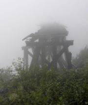 Alaska - Fog - Whitehorse to Skagway Train