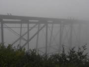 Alaska - Fog - Whitehorse to Skagway Train