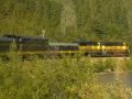 Alaska - Denali - Train