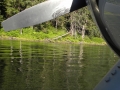 Alaska - Ketchikan Misty Fjords Float Plane