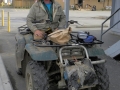 Alaska - Friendly Neighbors