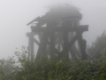 Alaska - Fog - Whitehorse to Skagway Train