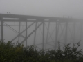 Alaska - Fog - Whitehorse to Skagway Train
