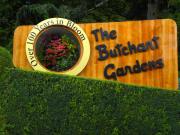 The Butchart Gardens-01