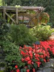 The Butchart Gardens-05