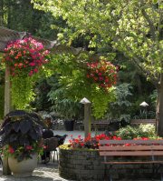 The Butchart Gardens-10