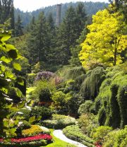 The Butchart Gardens-15