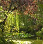 The Butchart Gardens-16