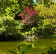 The Butchart Gardens-17