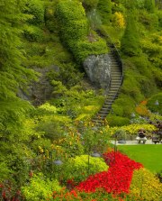 The Butchart Gardens-19