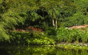 The Butchart Gardens-24
