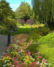 The Butchart Gardens-26