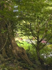 The Butchart Gardens-27