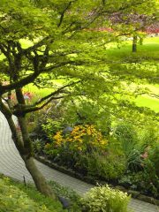 The Butchart Gardens-31