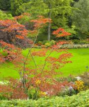 The Butchart Gardens-33