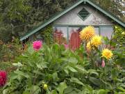 The Butchart Gardens-52