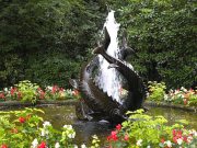 The Butchart Gardens-62