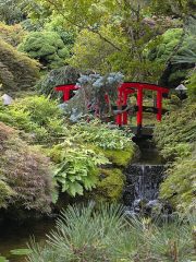 The Butchart Gardens Japanese Garden-05