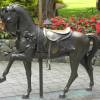 The Butchart Gardens Horse Statue