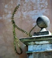 Charleston SC - Ball and Vine