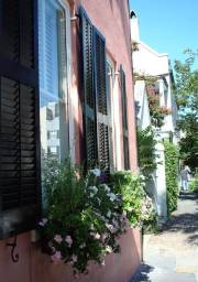 Charleston SC - Floral