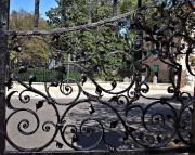 Charleston SC - Wrought Iron Fence Scrolls