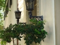 Charleston SC - Architecture
