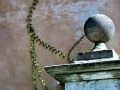 Charleston SC - Ball and Vine