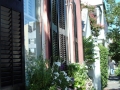 Charleston SC - Floral