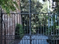 Charleston SC - Wrought Iron