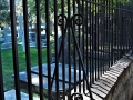 Charleston SC - Wrought Iron Fence Cemetary