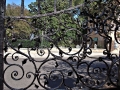 Charleston SC - Wrought Iron Fence Scrolls