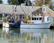 Long Island Sound Marina