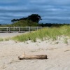 Long Island Sound Beach