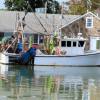 Long Island Sound Marina